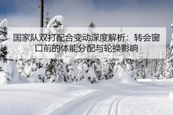 国家队双打配合变动深度解析：转会窗口前的体能分配与轮换影响